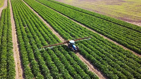 Australian Farmer Fertilizer Focus – Phosphates