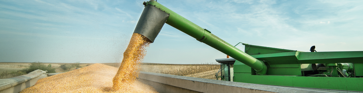 The Impact of U.S. Weather Patterns on Commodity Prices: A 2026 Outlook